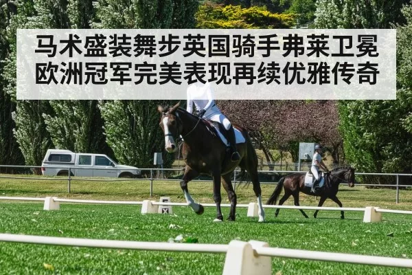 马术盛装舞步英国骑手弗莱卫冕欧洲冠军完美表现再续优雅传奇