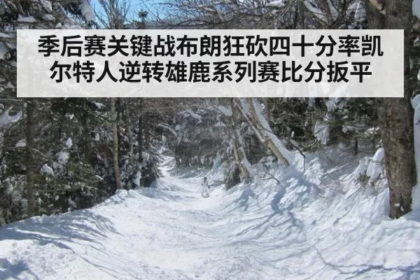 季后赛关键战布朗狂砍四十分率凯尔特人逆转雄鹿系列赛比分扳平